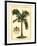 British Colonial Palm I-null-Framed Art Print