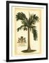 British Colonial Palm I-null-Framed Art Print