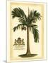 British Colonial Palm I-null-Mounted Art Print