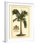 British Colonial Palm I-null-Framed Art Print