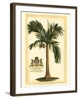 British Colonial Palm I-null-Framed Art Print