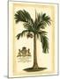 British Colonial Palm I-null-Mounted Art Print