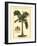 British Colonial Palm I-null-Framed Art Print