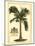 British Colonial Palm I-null-Mounted Art Print