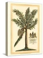British Colonial Palm II-null-Stretched Canvas