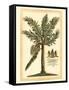 British Colonial Palm II-null-Framed Stretched Canvas