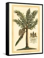 British Colonial Palm II-null-Framed Stretched Canvas