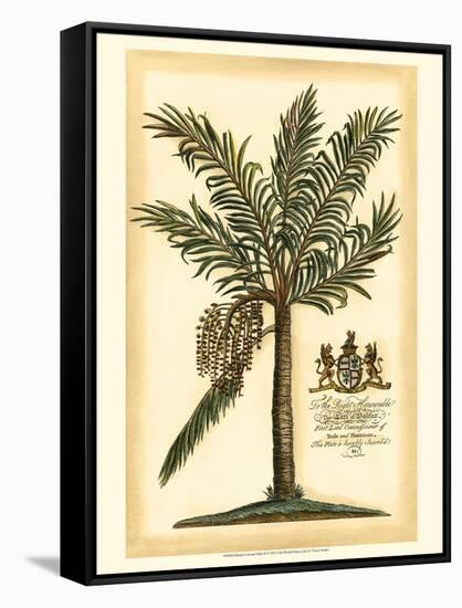 British Colonial Palm II-null-Framed Stretched Canvas