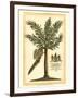 British Colonial Palm II-null-Framed Art Print