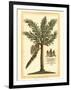 British Colonial Palm II-null-Framed Art Print