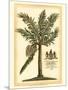 British Colonial Palm II-null-Mounted Art Print