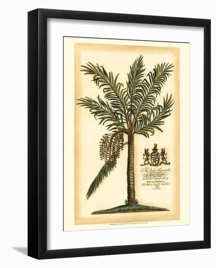 British Colonial Palm II-null-Framed Art Print