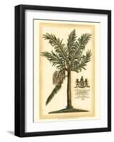 British Colonial Palm II-null-Framed Art Print