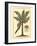 British Colonial Palm II-null-Framed Art Print