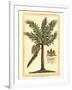 British Colonial Palm II-null-Framed Art Print