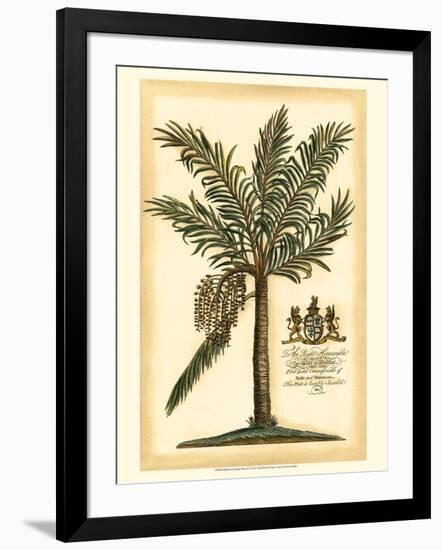 British Colonial Palm II-null-Framed Art Print