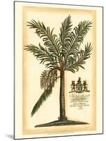 British Colonial Palm II-null-Mounted Art Print