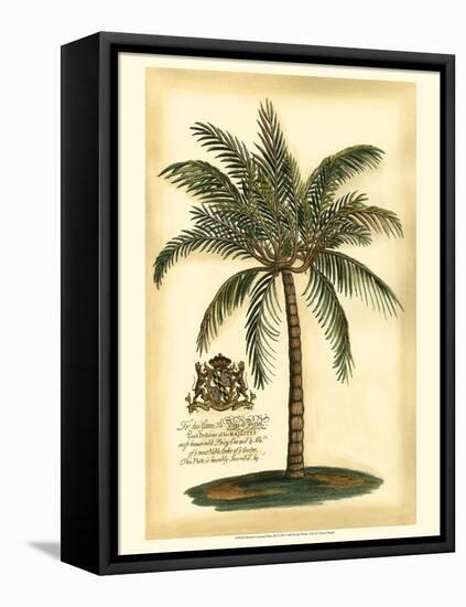 British Colonial Palm III-null-Framed Stretched Canvas