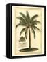 British Colonial Palm III-null-Framed Stretched Canvas