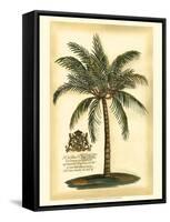 British Colonial Palm III-null-Framed Stretched Canvas