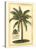 British Colonial Palm III-null-Stretched Canvas