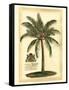 British Colonial Palm III-null-Framed Stretched Canvas