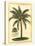 British Colonial Palm III-null-Stretched Canvas