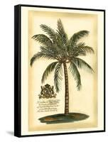 British Colonial Palm III-null-Framed Stretched Canvas