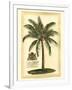 British Colonial Palm III-null-Framed Art Print