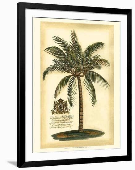 British Colonial Palm III-null-Framed Art Print