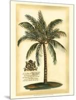 British Colonial Palm III-null-Mounted Art Print