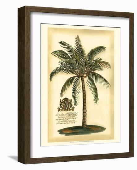 British Colonial Palm III-null-Framed Art Print