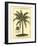 British Colonial Palm III-null-Framed Art Print