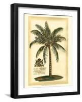 British Colonial Palm III-null-Framed Art Print