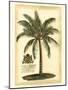 British Colonial Palm III-null-Mounted Art Print