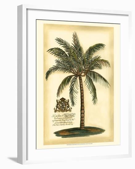 British Colonial Palm III-null-Framed Art Print