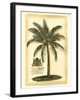 British Colonial Palm III-null-Framed Art Print