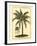 British Colonial Palm III-null-Framed Art Print