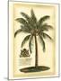British Colonial Palm III-null-Mounted Art Print