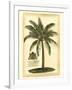 British Colonial Palm III-null-Framed Art Print