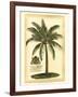 British Colonial Palm III-null-Framed Art Print