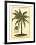 British Colonial Palm III-null-Framed Art Print