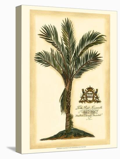 British Colonial Palm IV-null-Stretched Canvas