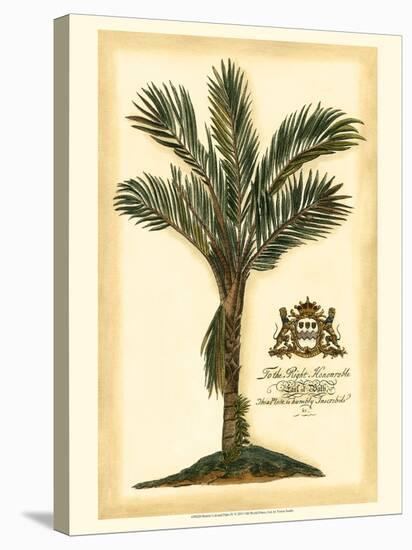 British Colonial Palm IV-null-Stretched Canvas