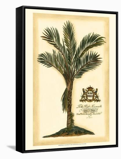 British Colonial Palm IV-null-Framed Stretched Canvas