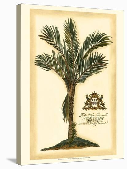 British Colonial Palm IV-null-Stretched Canvas