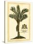 British Colonial Palm IV-null-Stretched Canvas