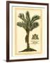 British Colonial Palm IV-null-Framed Art Print