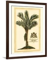 British Colonial Palm IV-null-Framed Art Print