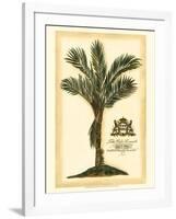 British Colonial Palm IV-null-Framed Art Print